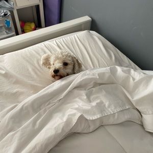 Meet your Posher, Rita